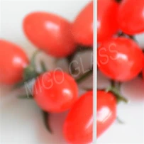 กระจกเรือนกระจกเหล็กต่ำ- 4 มม