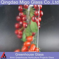 กระจกเรือนกระจก Matt Prismatic