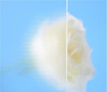 กระจกพลังงานแสงอาทิตย์ลวดลายเหล็กต่ำ 3.2 มม.